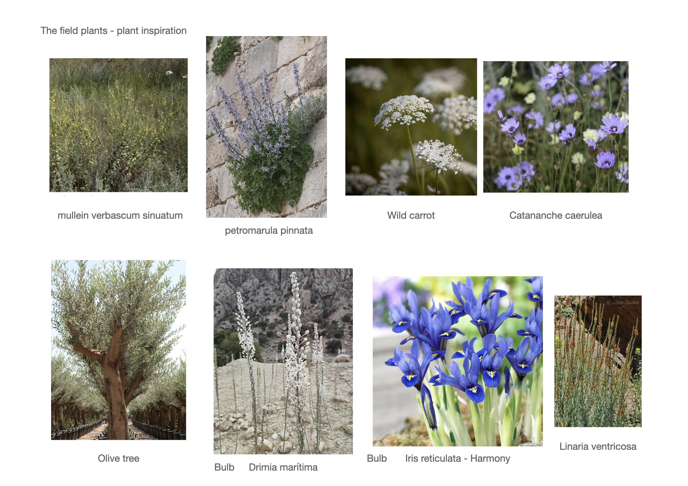 Project 8 presentation.059.png