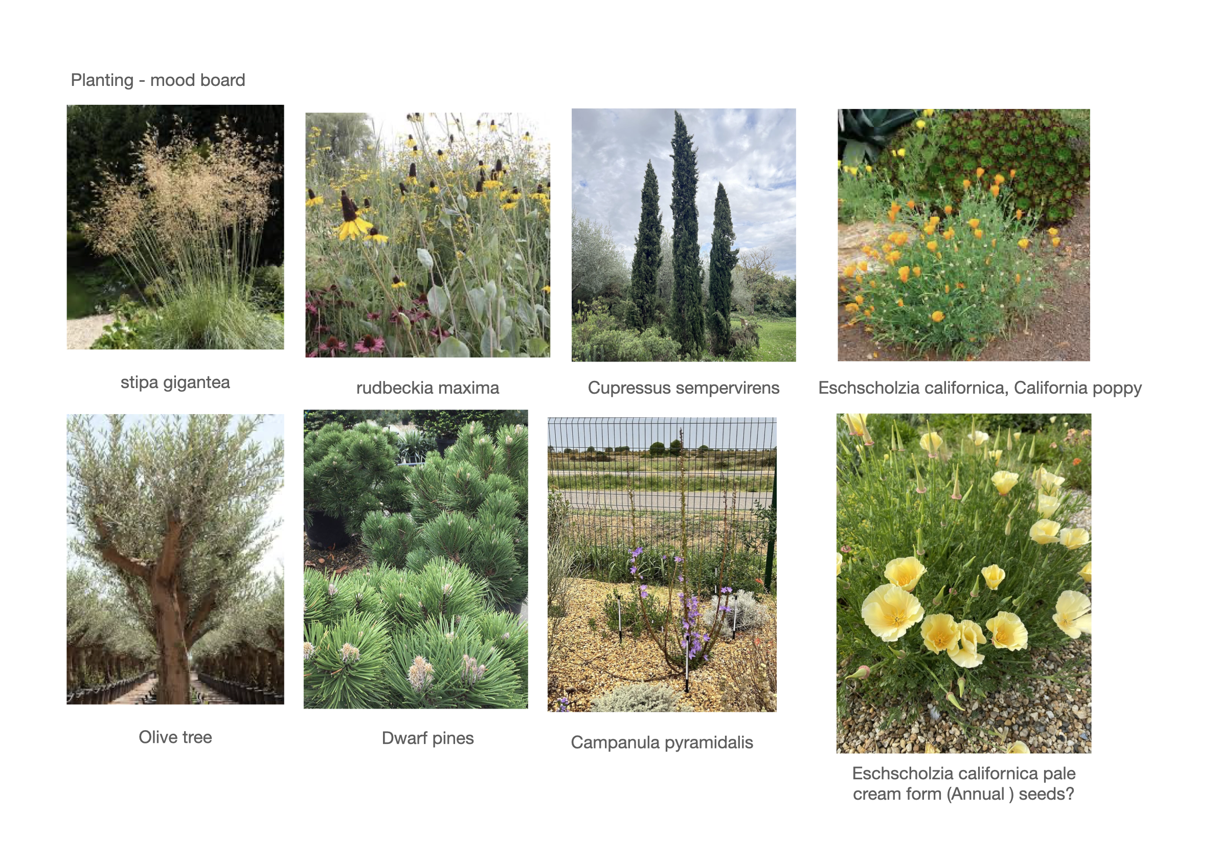 Project 8 presentation.061.png