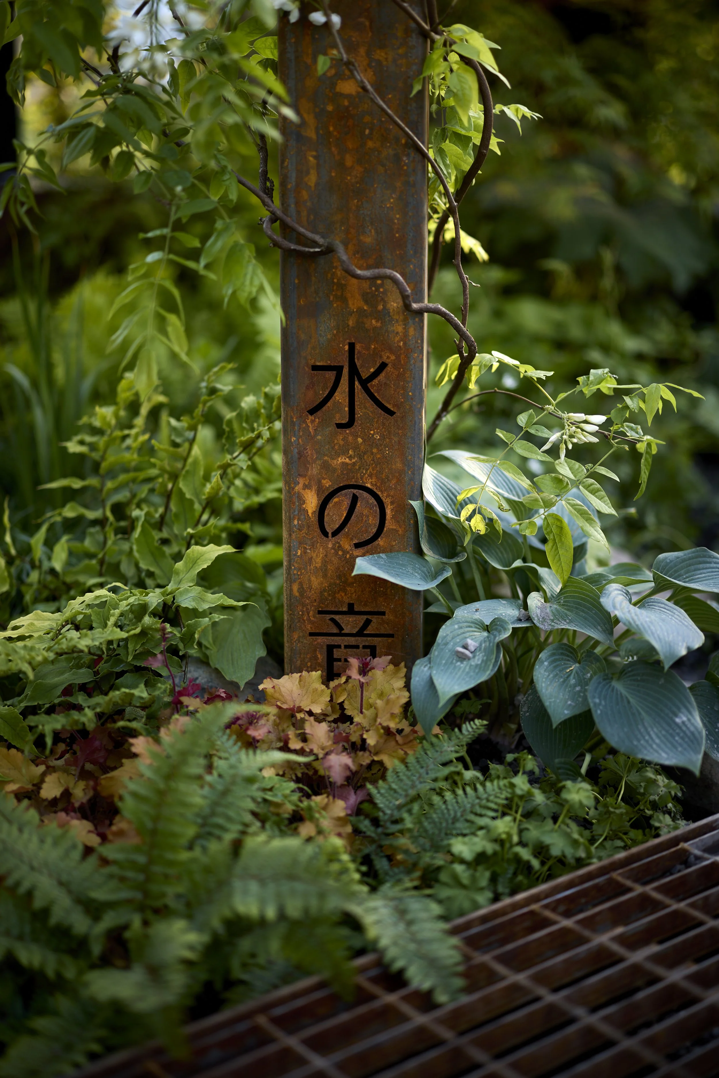 JH-RAIN GARDEN-Planting_T2_3320.jpg