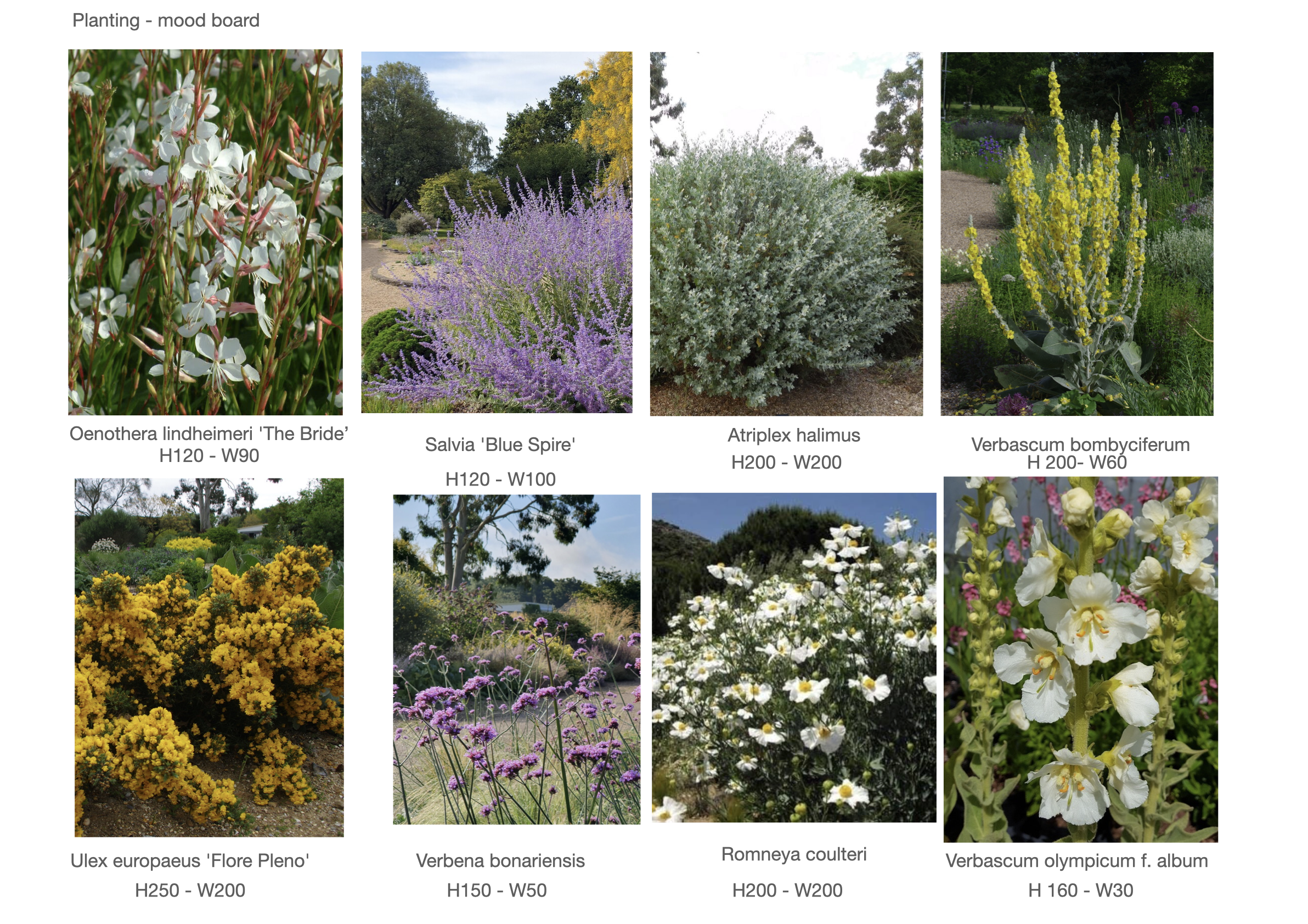 Project 8 presentation.063.png