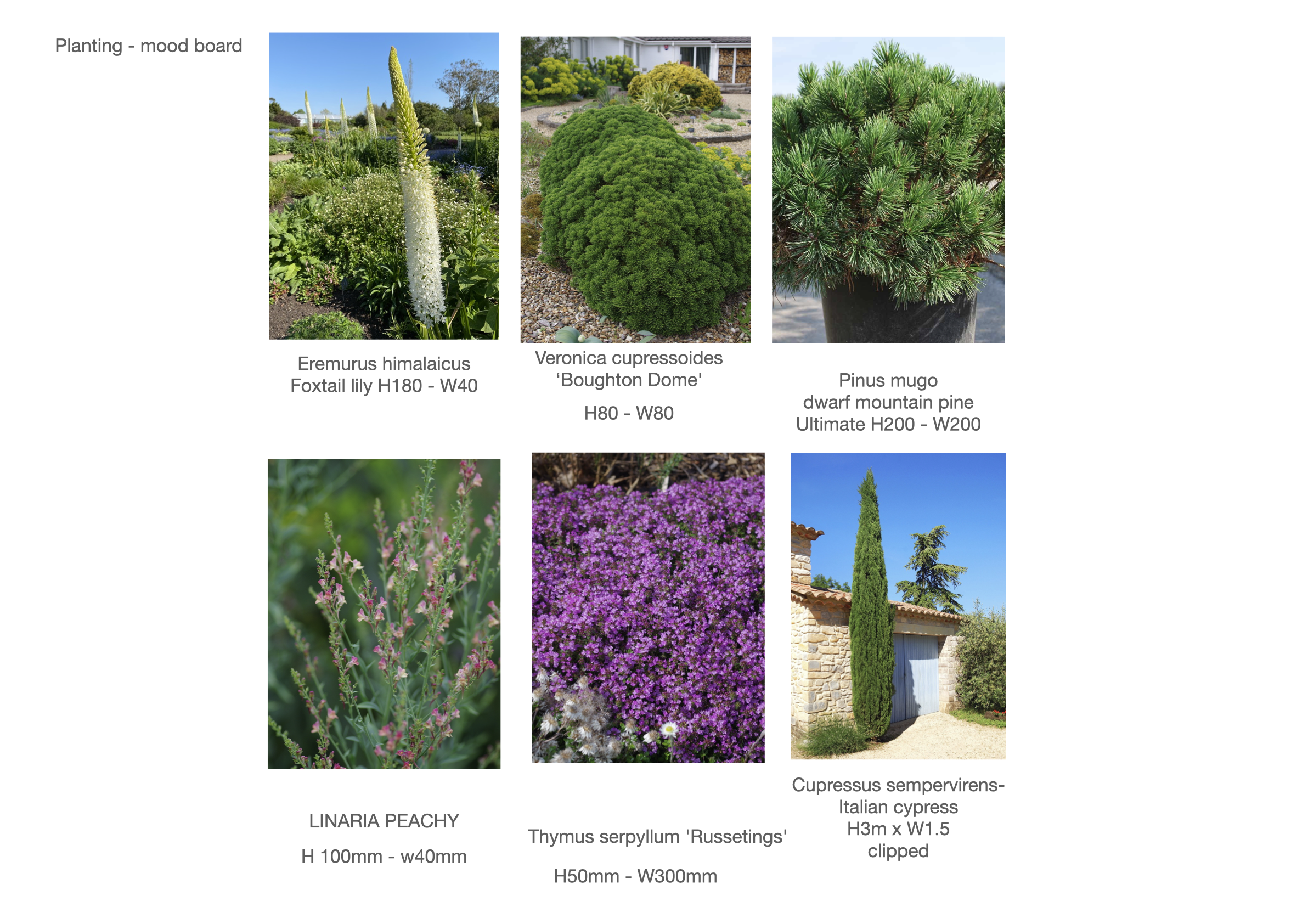 Project 8 presentation.064.png