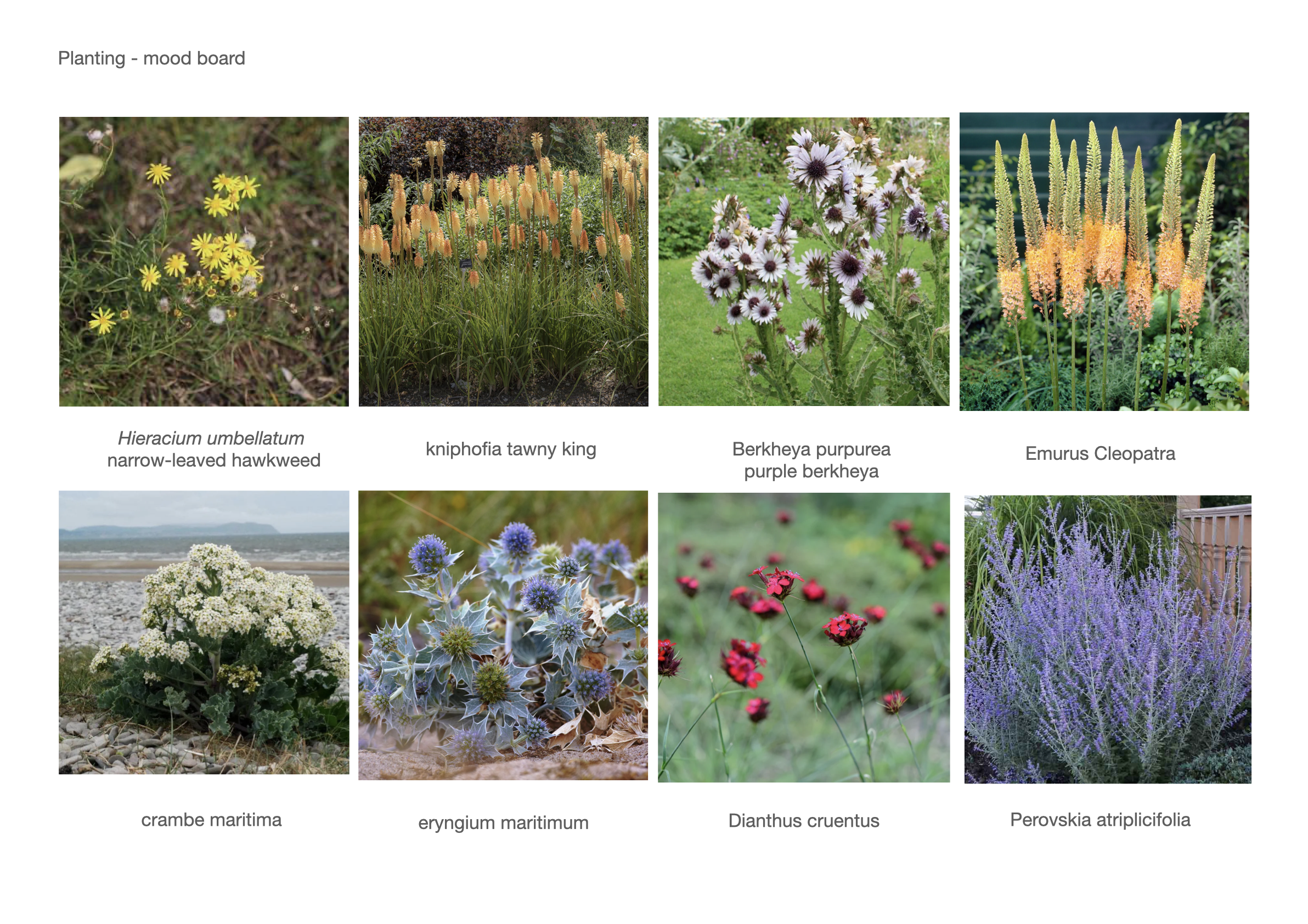 Project 8 presentation.060.png