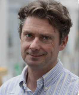 Power grid complexity and the role of Higher Education Institutions