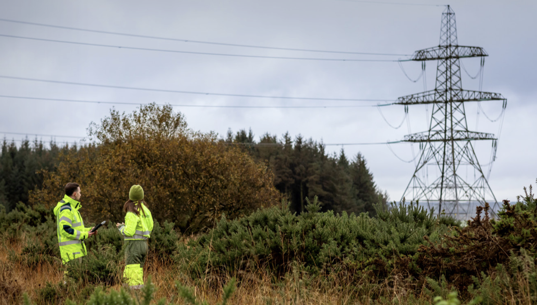 SP Energy Networks recovers ecosystem supporting cleaner water and reduced carbon emissions in Scotland
