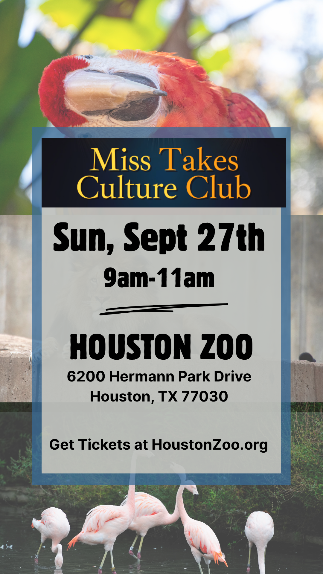 Miss Takes Culture Club: Houston Zoo
