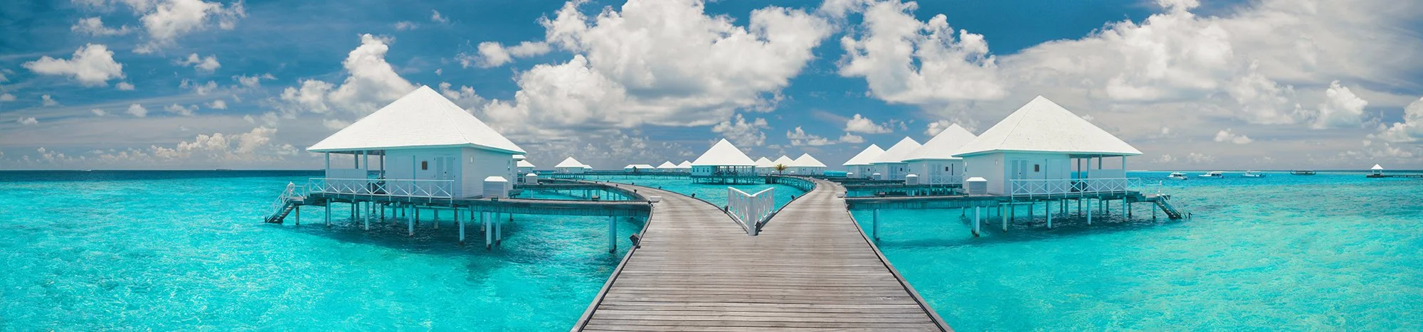 20250923_DTM_04_257_Panorama 1_72DPI_2000 × 467.jpg