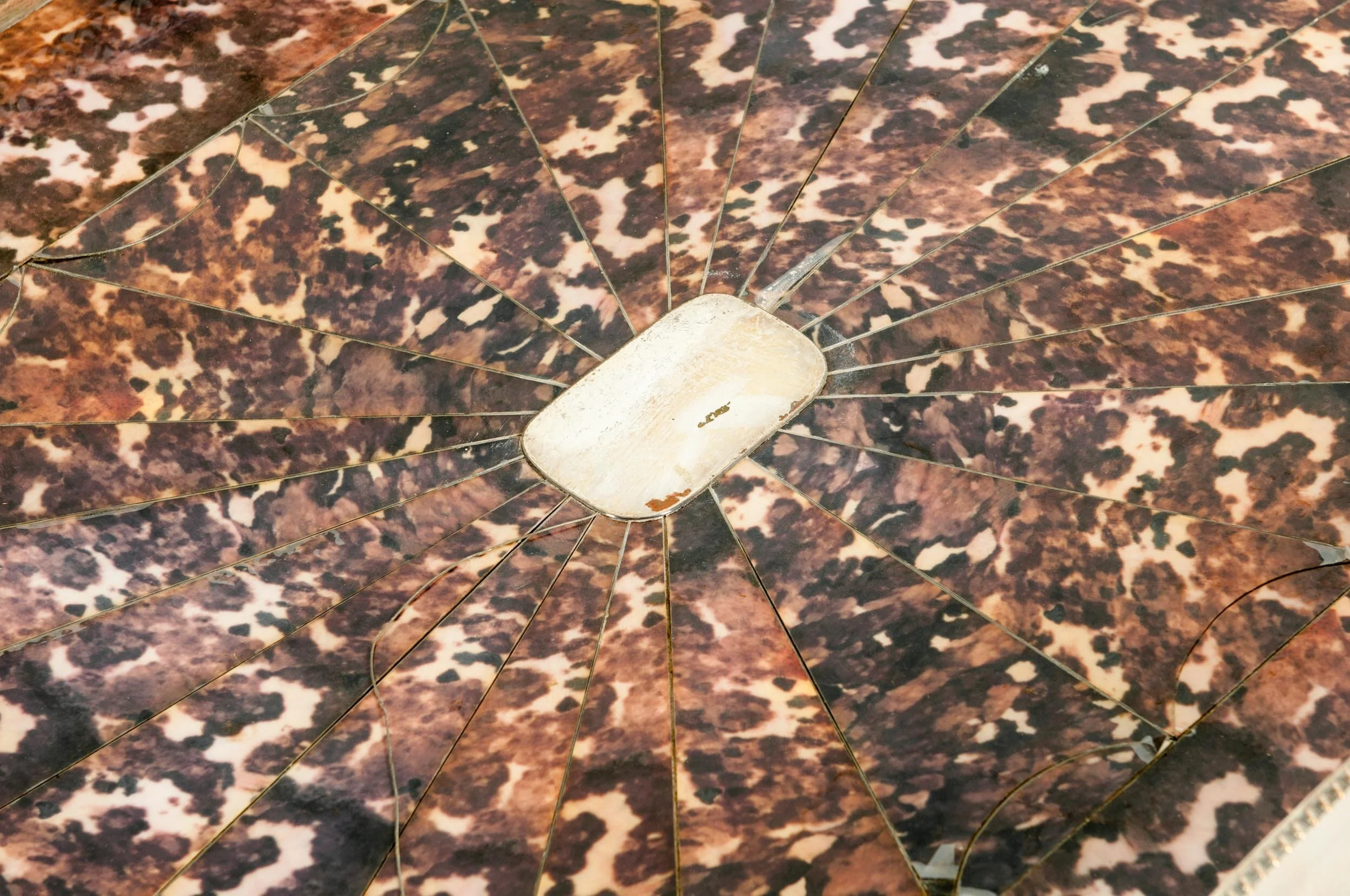 LM-242.JPG