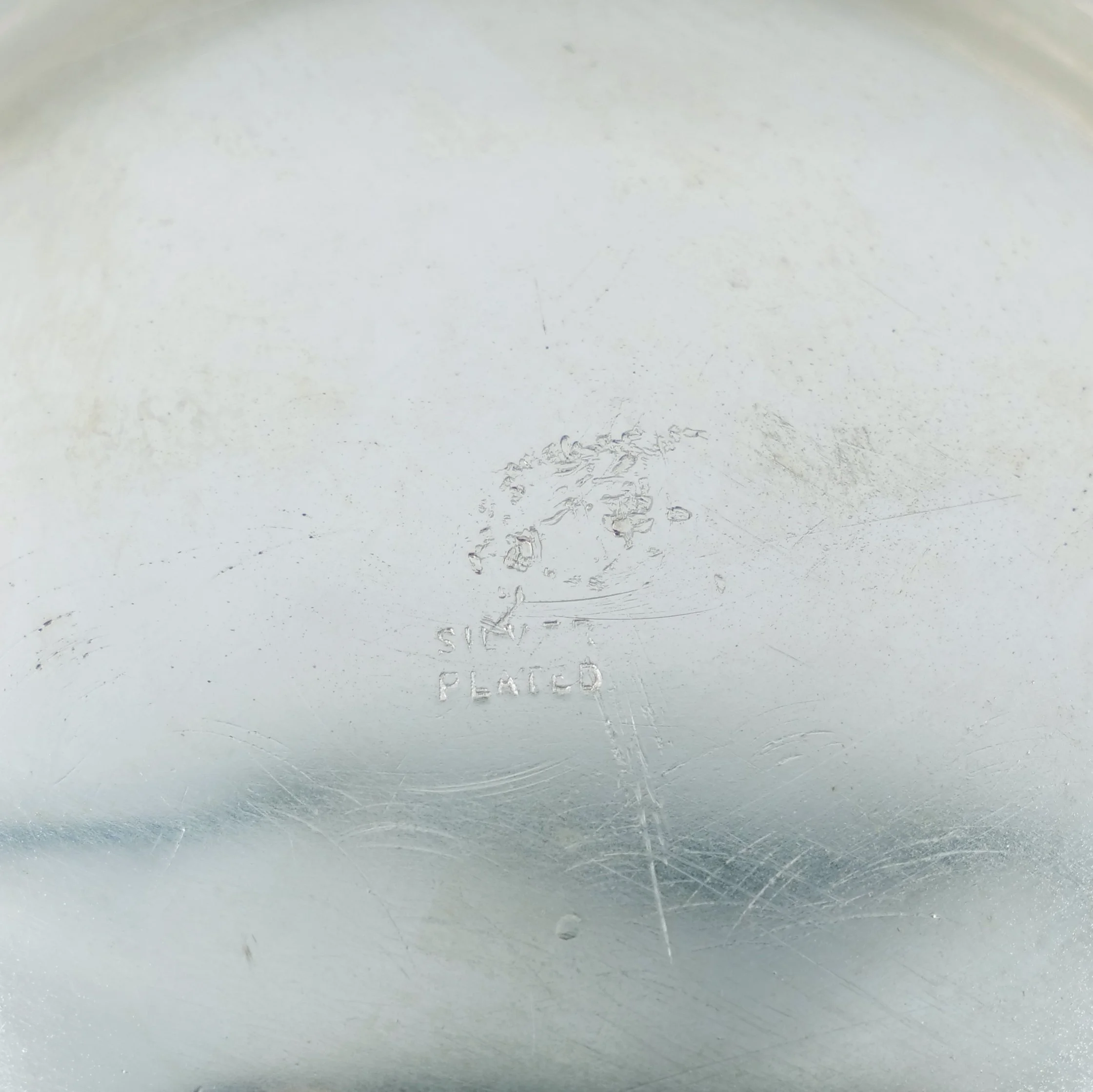 P1154661.JPG
