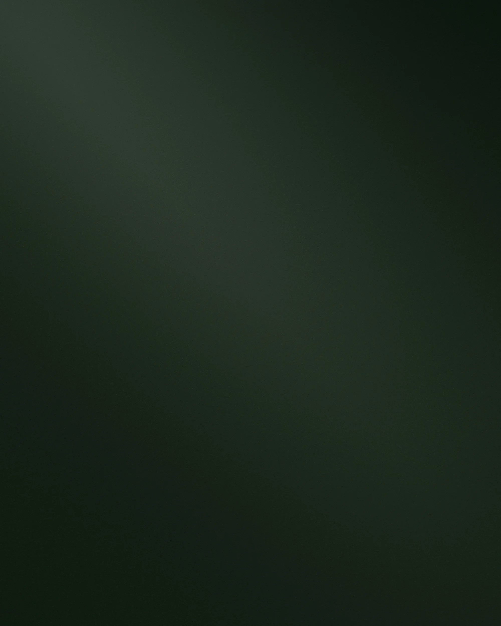 Christmas Village — Christmas Spectacular 2024