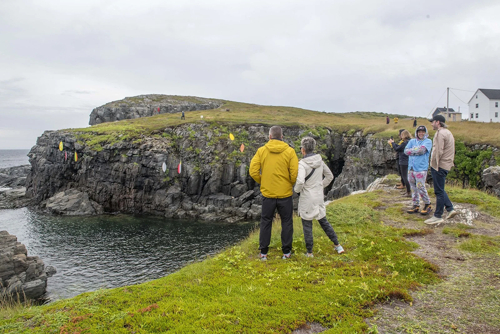Bonavista Biennale
