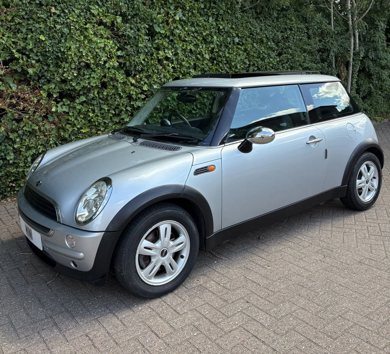 AU02 Pure Silver Metallic Automatic One 1.jpg