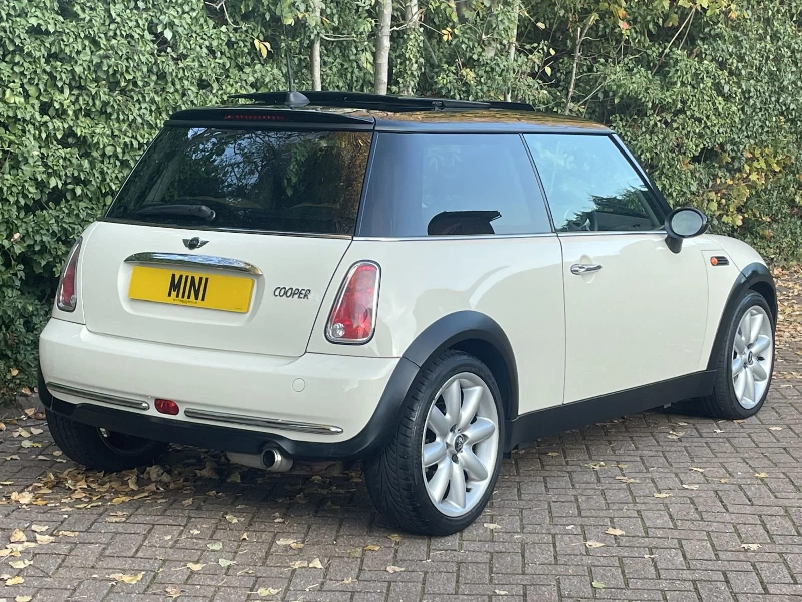LL05 Pepper White Automatic Cooper 4.jpg