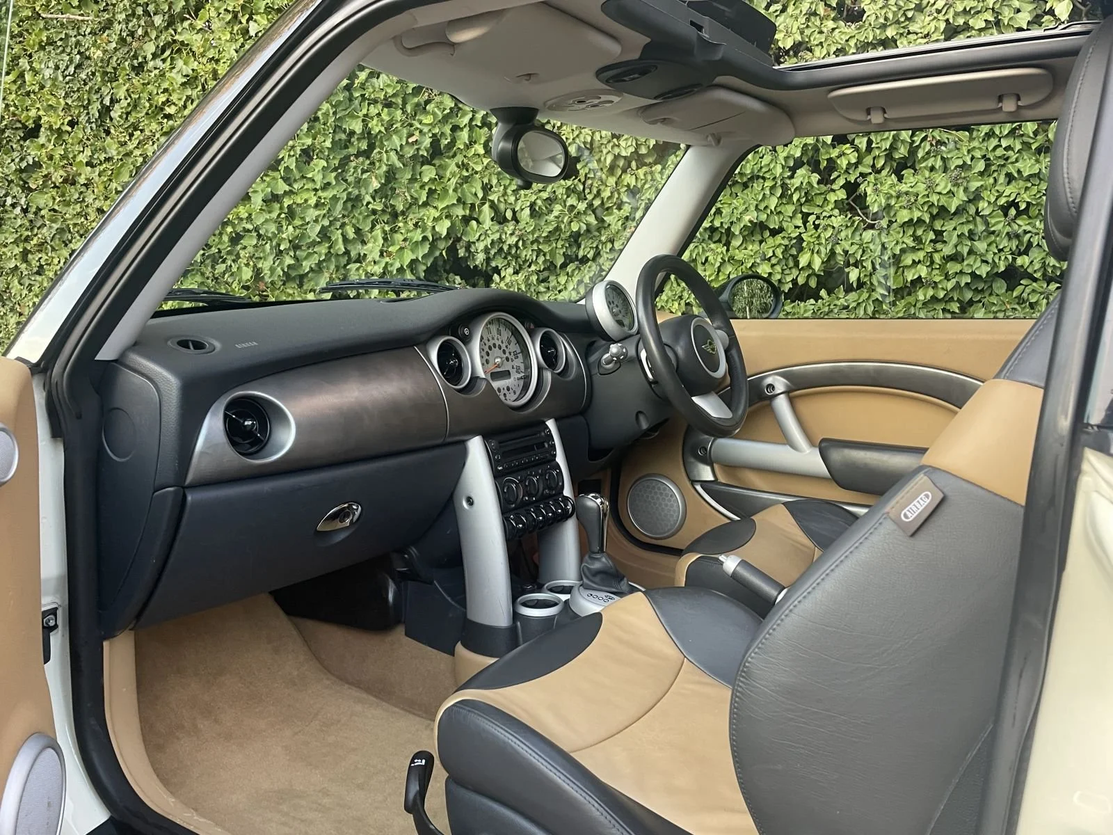 LL05 Pepper White Automatic Cooper 14.JPG