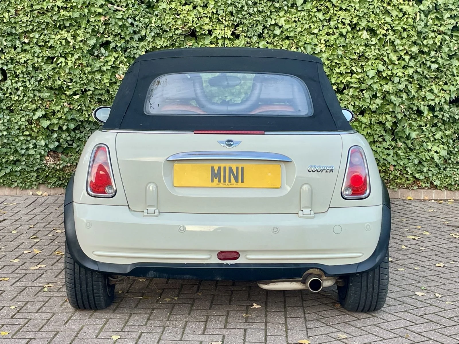 ST57 Pepper White Cooper Sidewalk Automatic 13.jpg