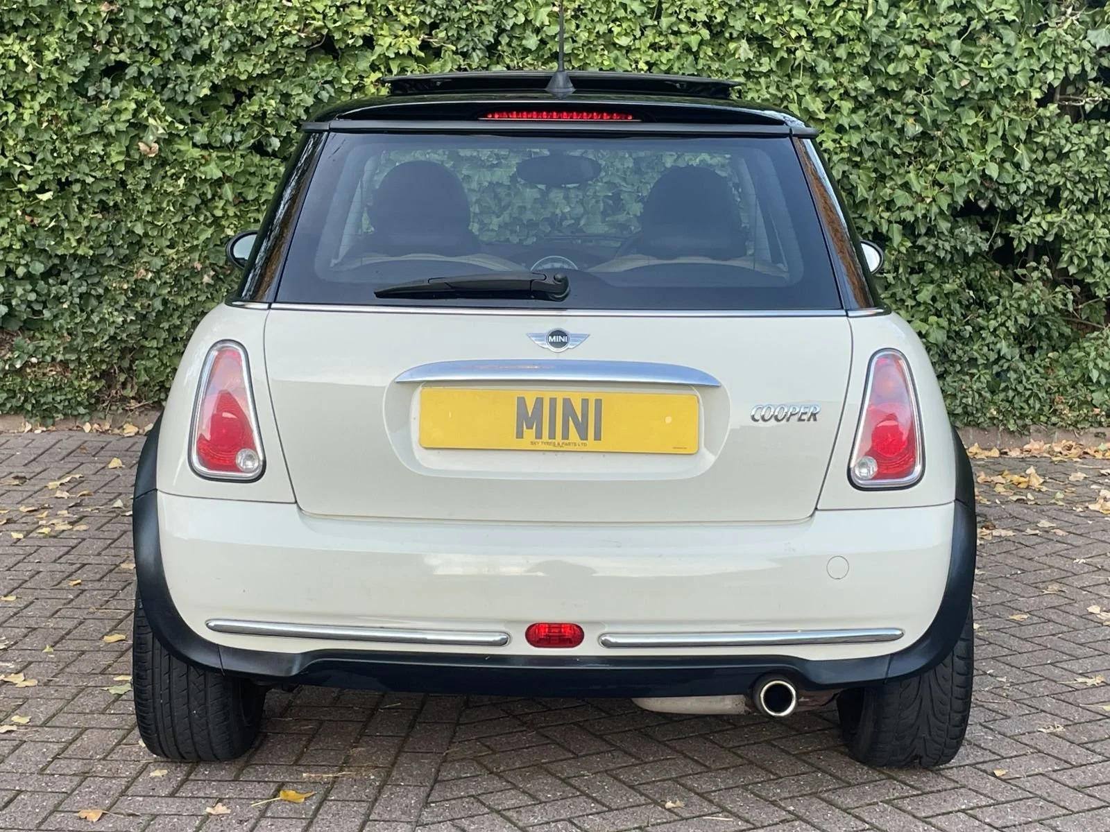 LL05 Pepper White Automatic Cooper 16.jpg