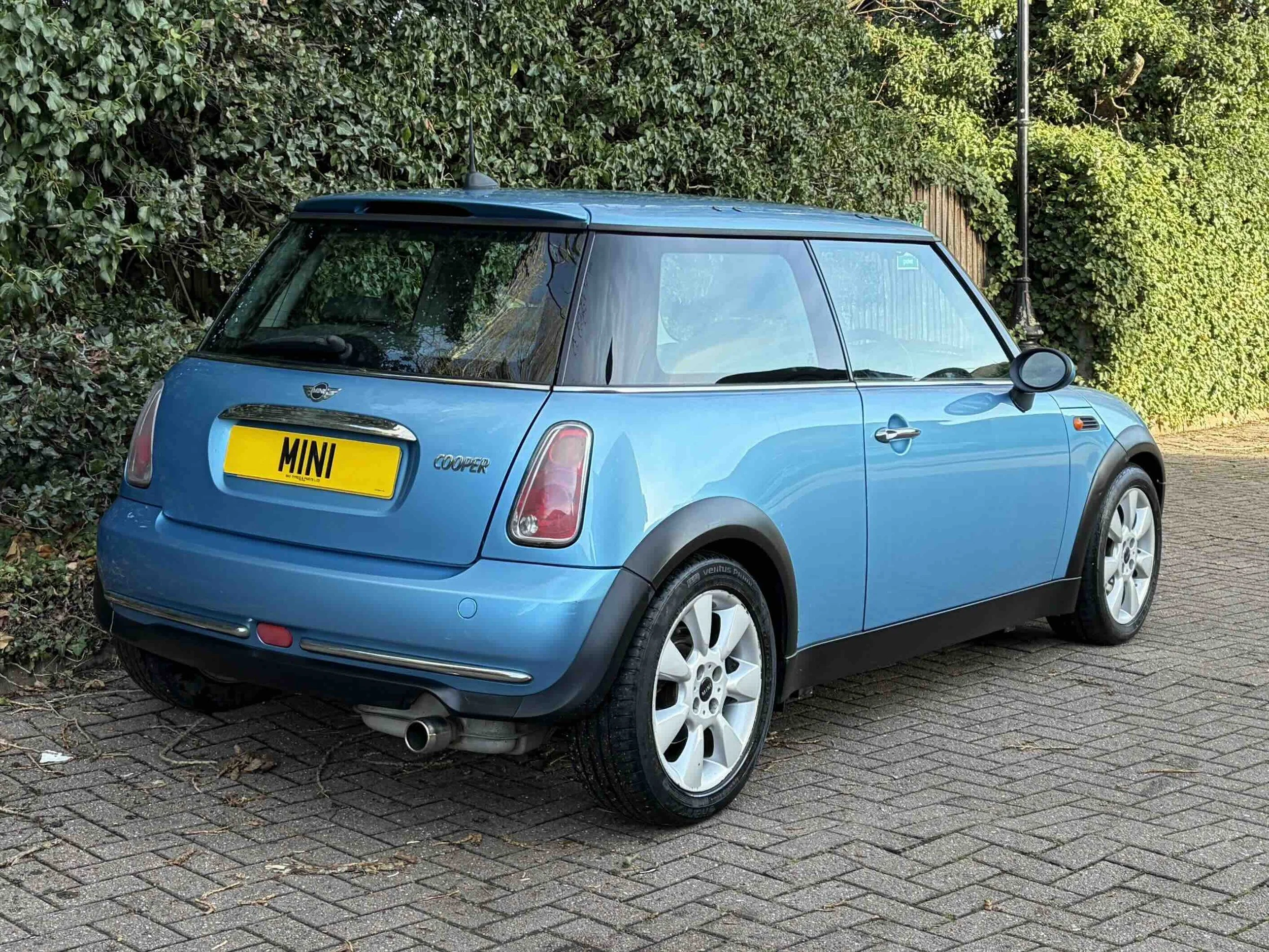 YD54 WFJ Electric Blue Cooper 7.jpeg