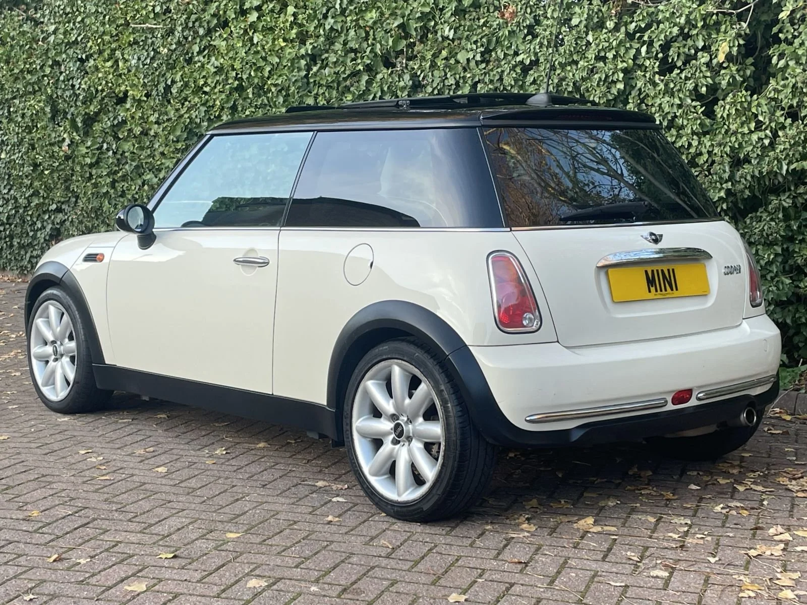 LL05 Pepper White Automatic Cooper 21.jpg
