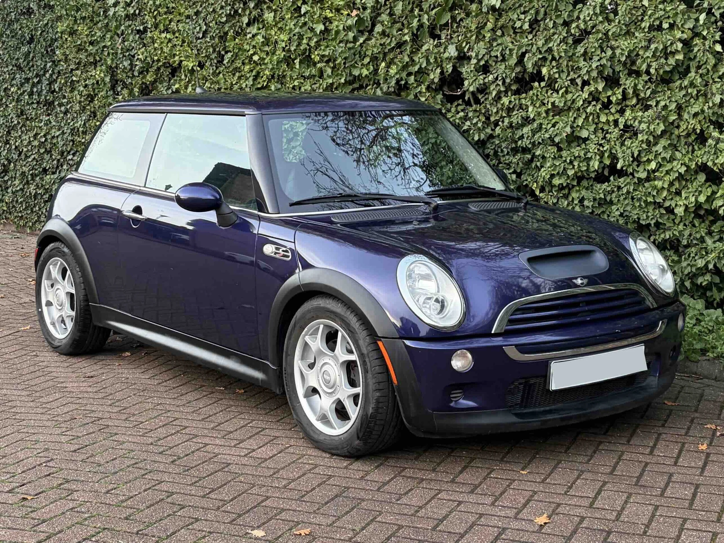 EY55 AKK Purple Cooper S 7.jpeg