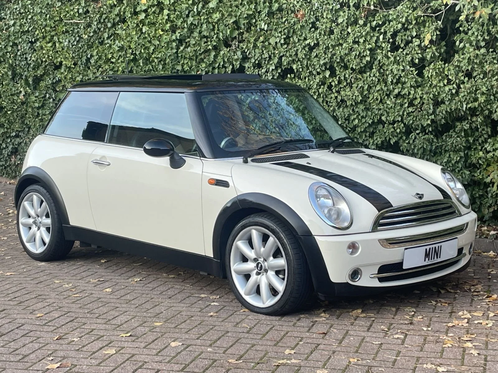 LL05 Pepper White Automatic Cooper 2.jpg