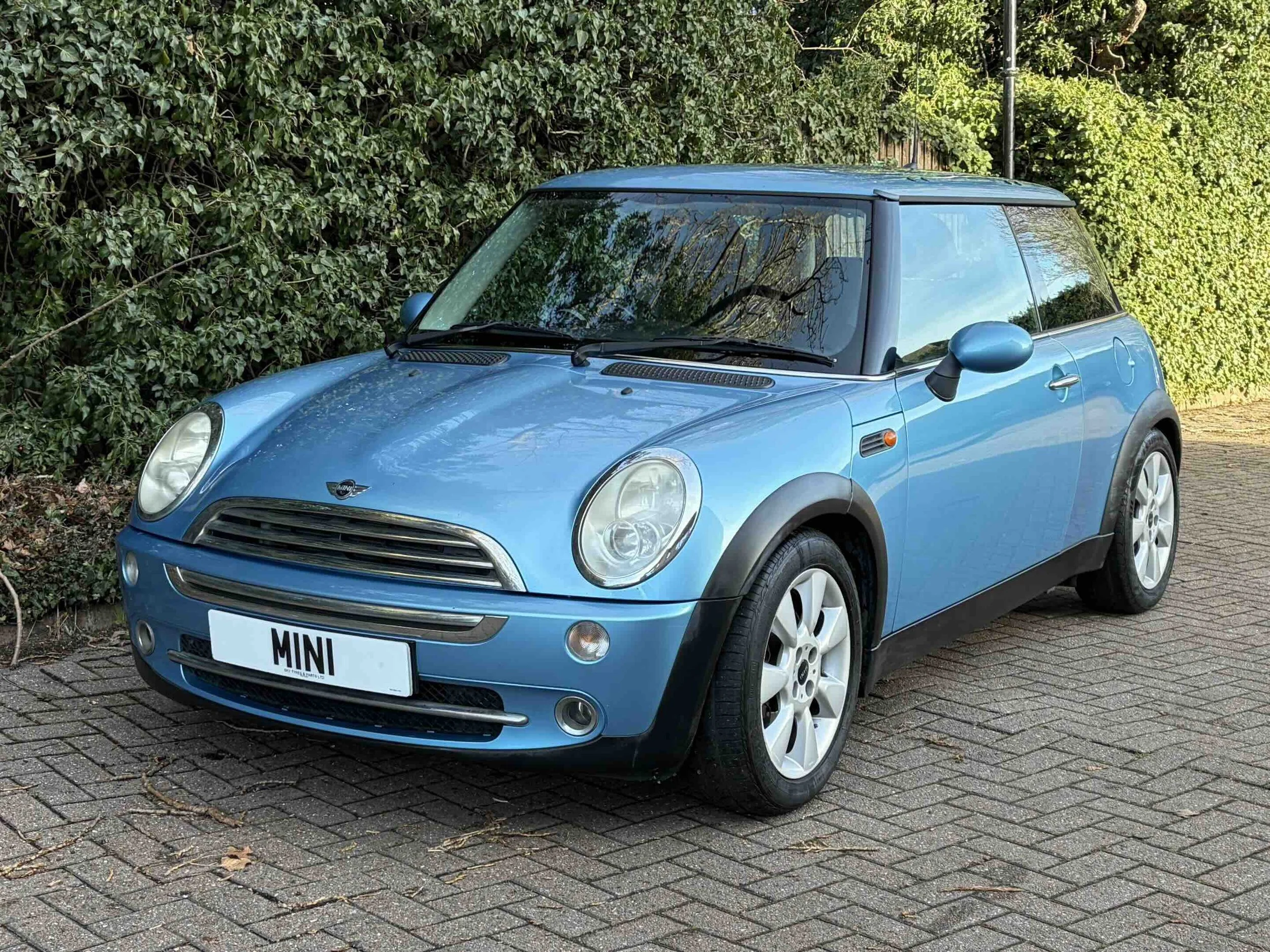 YD54 WFJ Electric Blue Cooper 10.jpeg