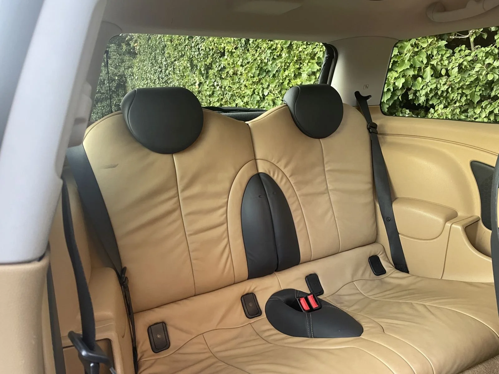 LL05 Pepper White Automatic Cooper 10.JPG