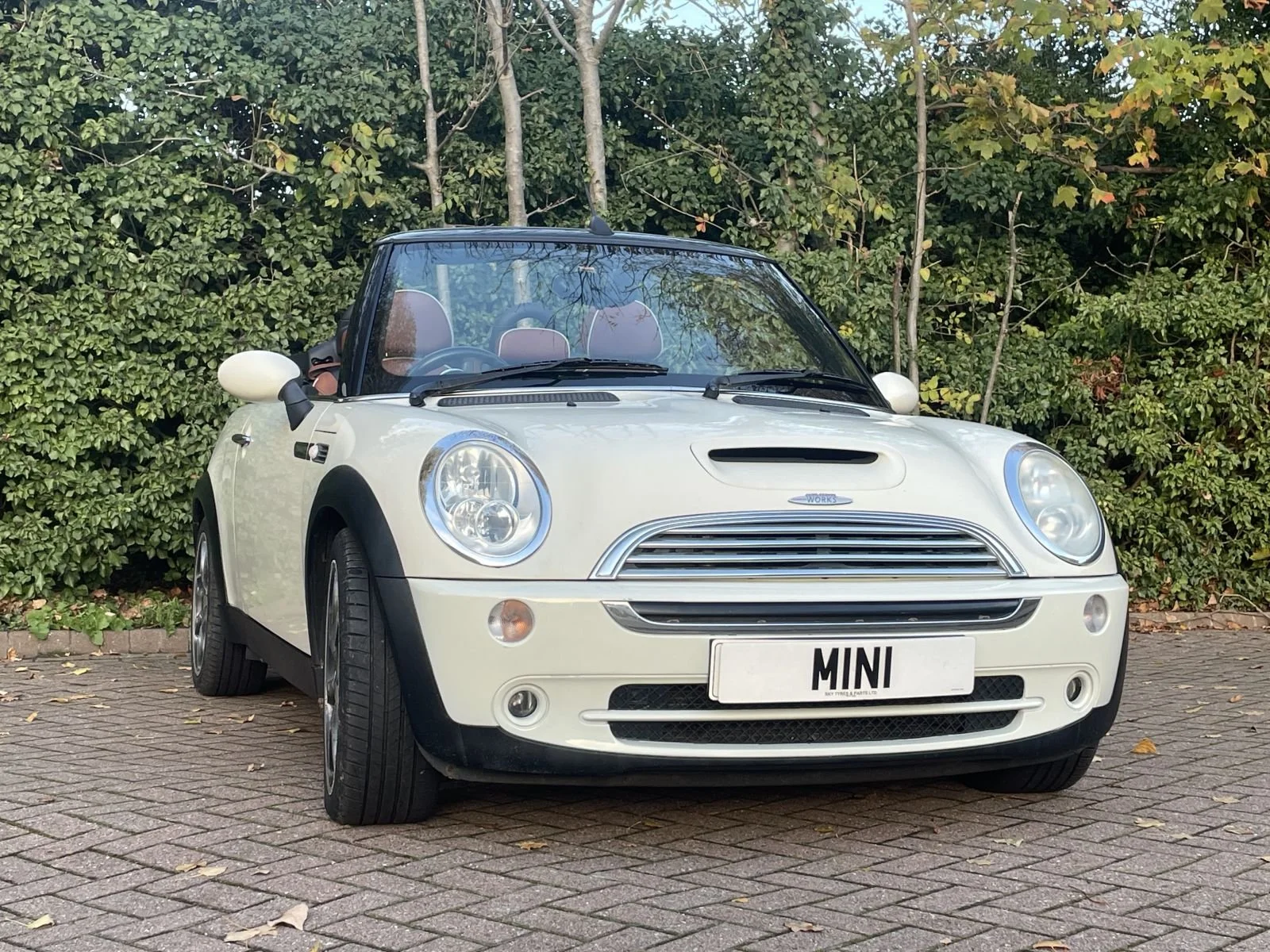 ST57 Pepper White Cooper Sidewalk Automatic 19.jpg
