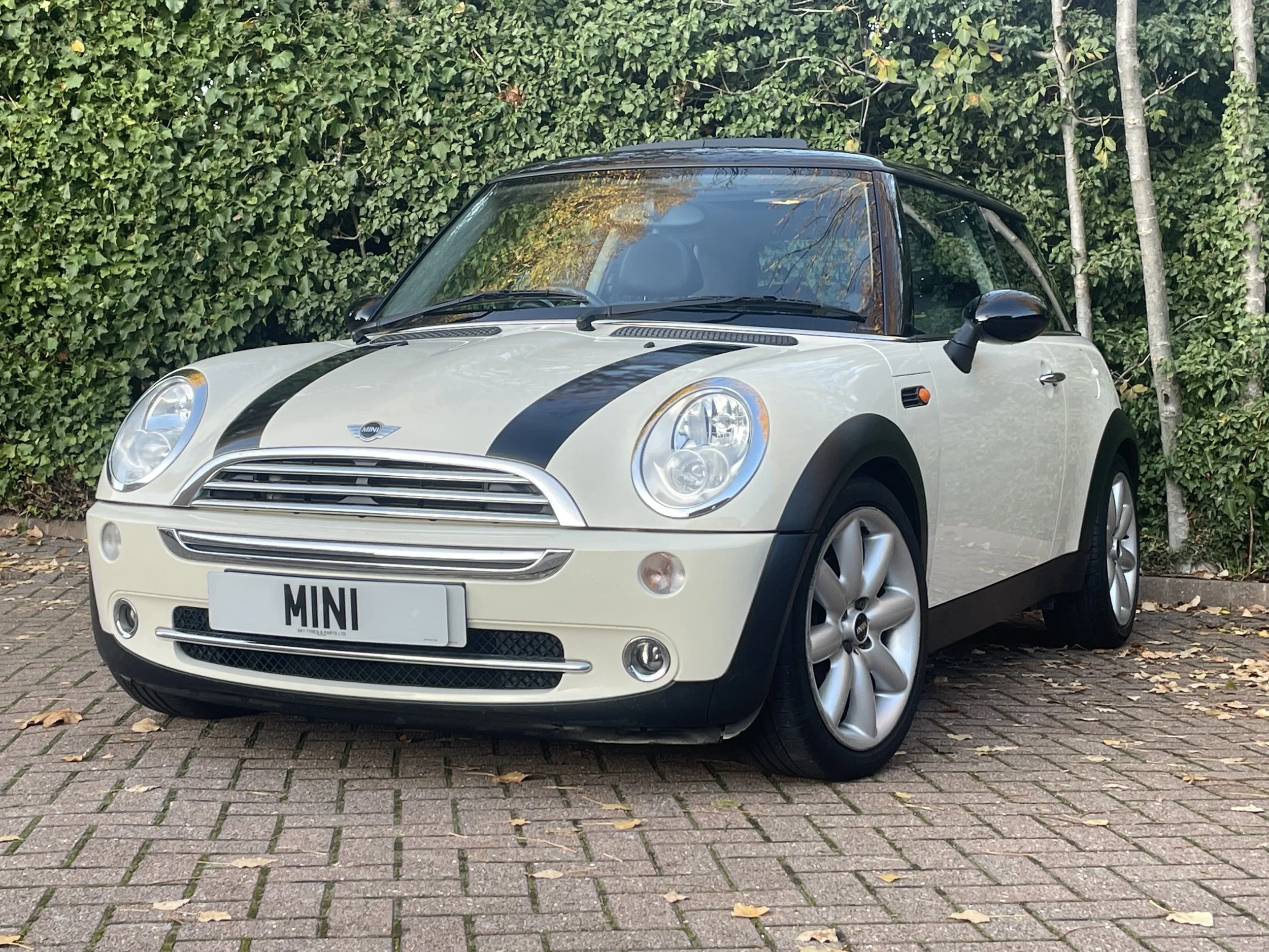 LL05 Pepper White Automatic Cooper 23.jpg
