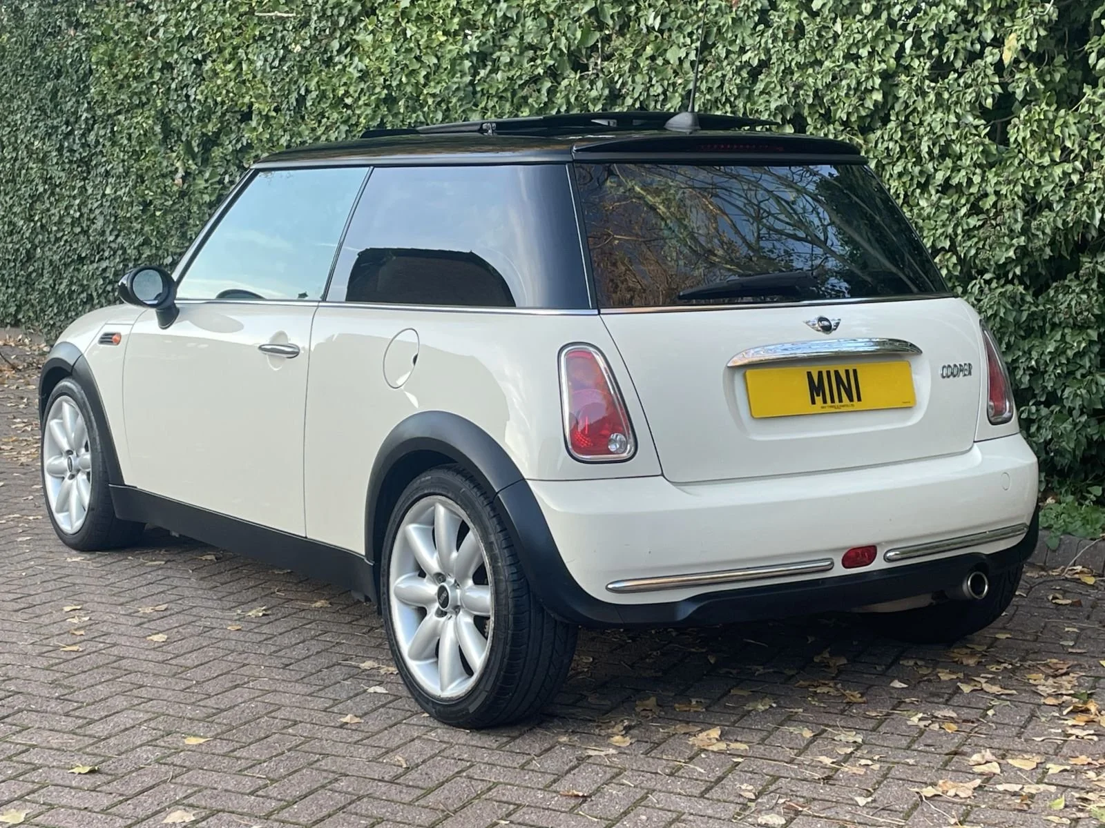 LL05 Pepper White Automatic Cooper 22.jpg