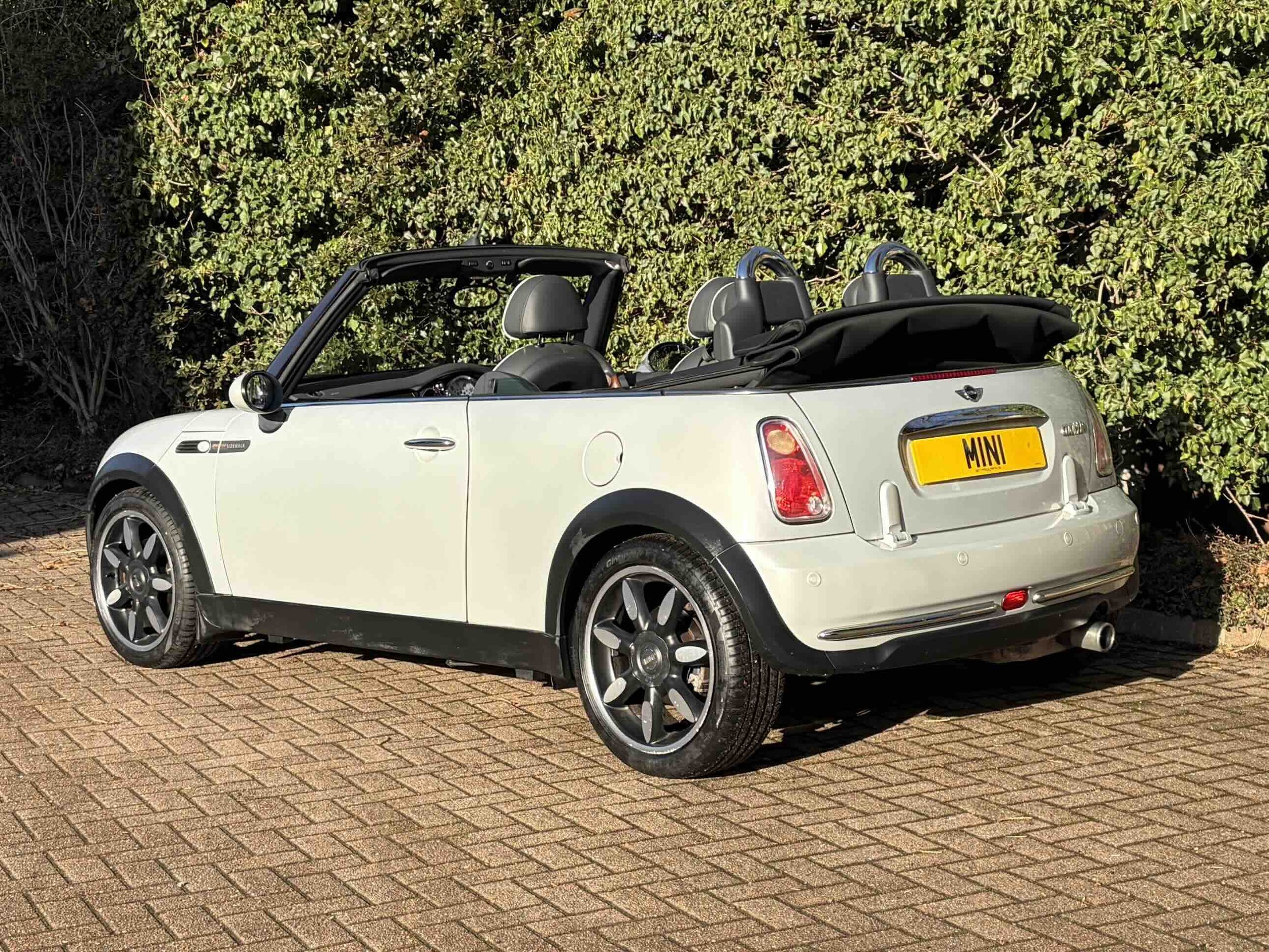 SL08 FNV White Silver Sidewalk 8.jpeg