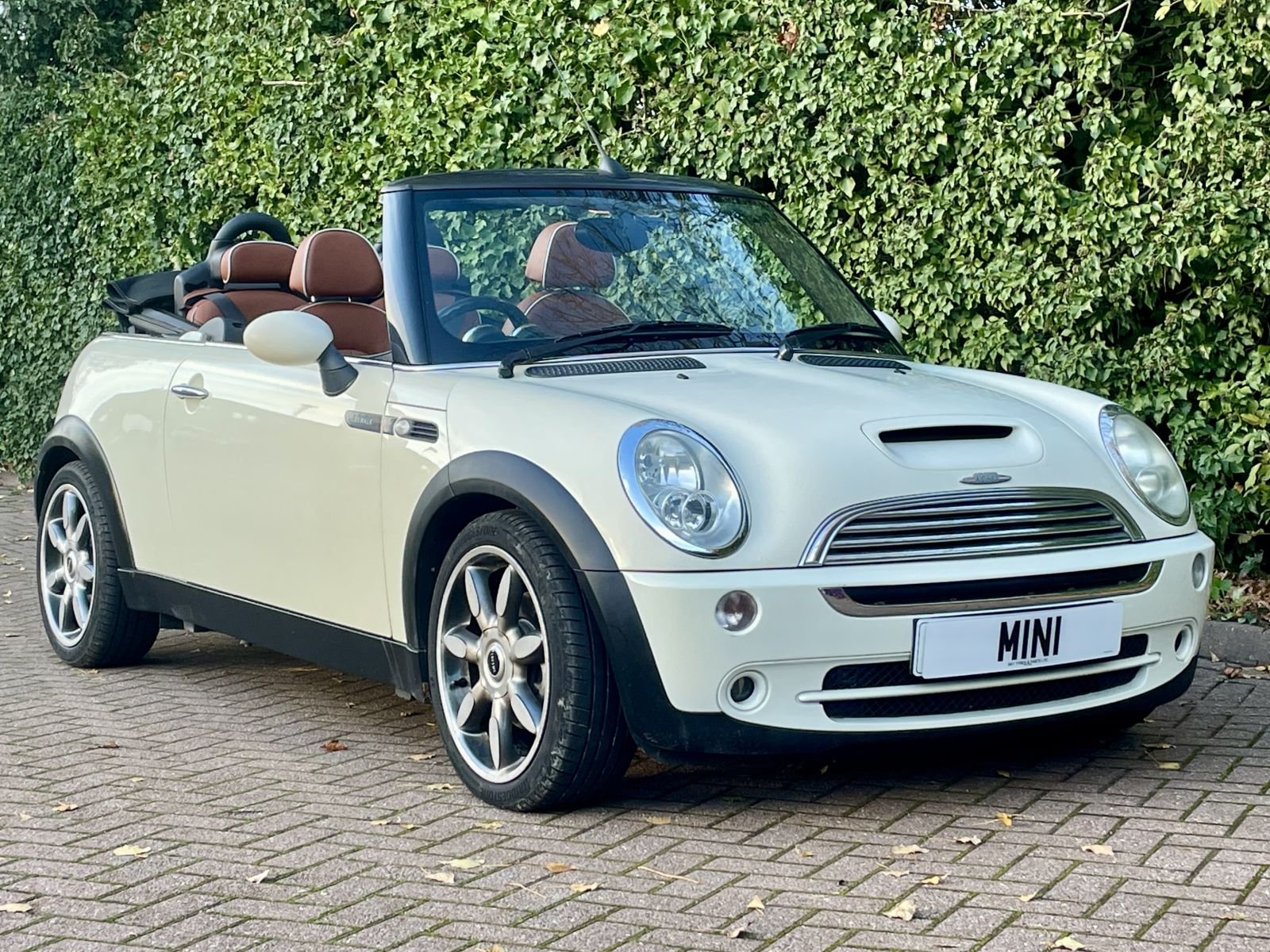 ST57 Pepper White Cooper Sidewalk Automatic 1.jpg
