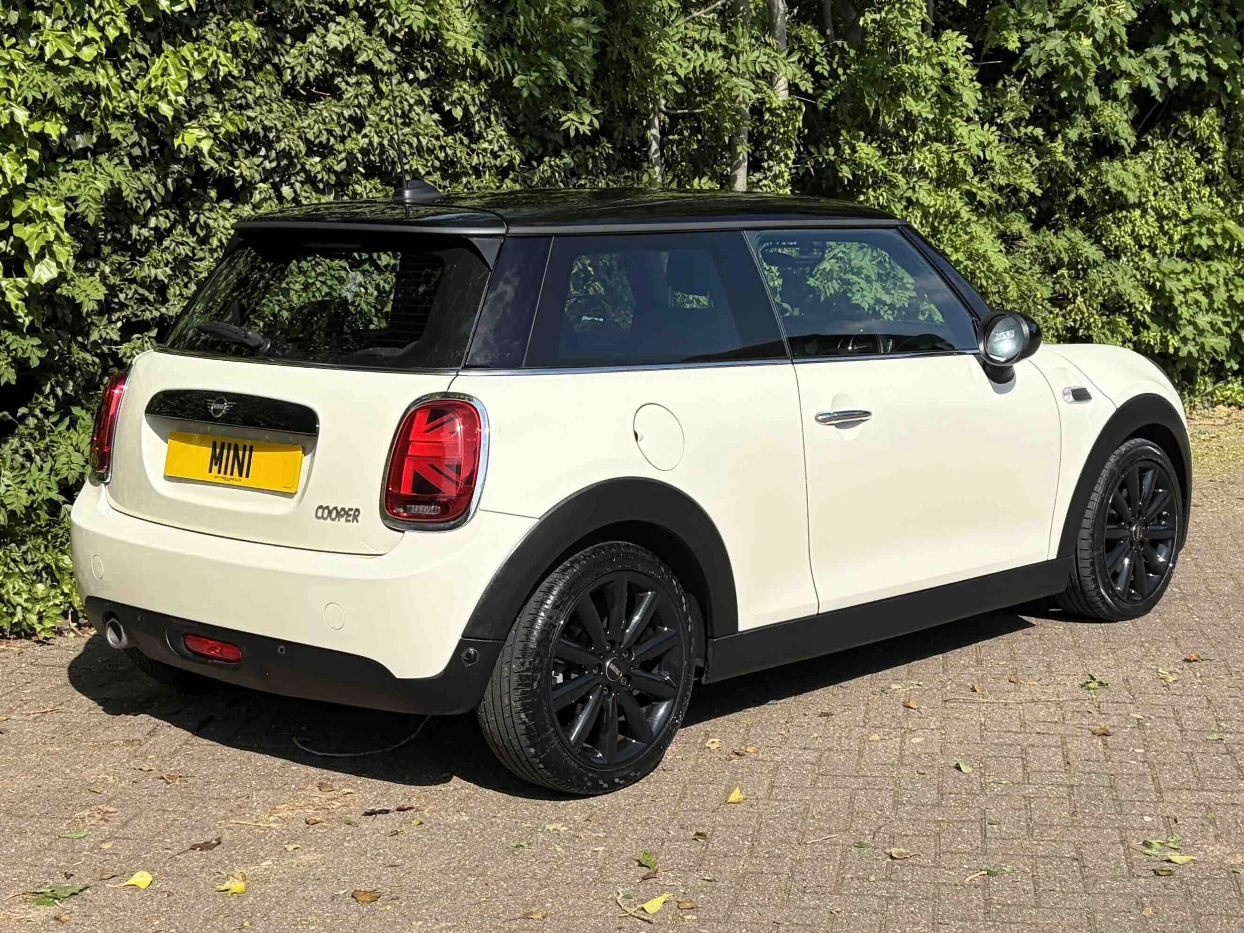 ET18 TBV White Gen 3 Manual 9.jpeg