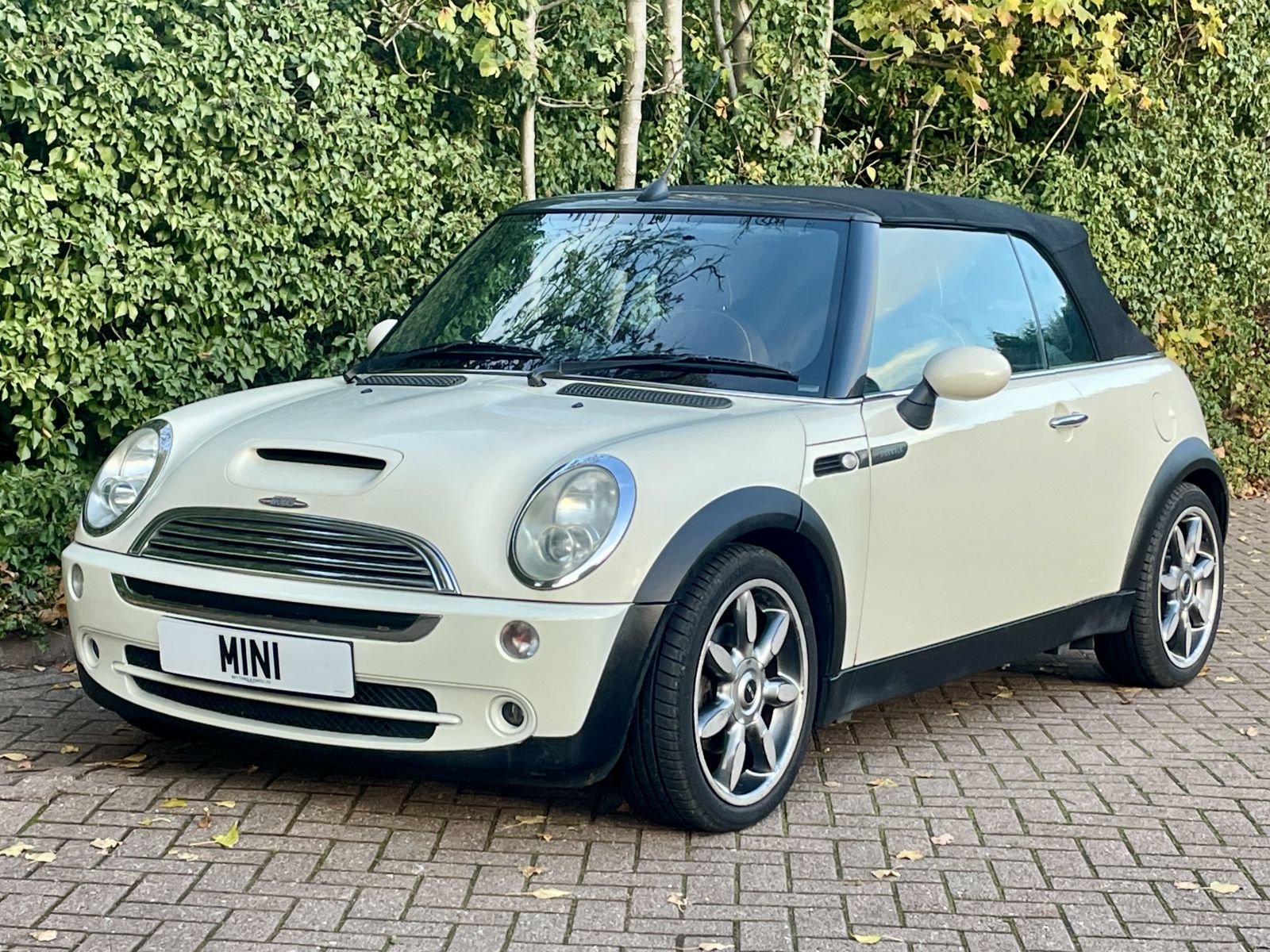 ST57 Pepper White Cooper Sidewalk Automatic 14.jpg