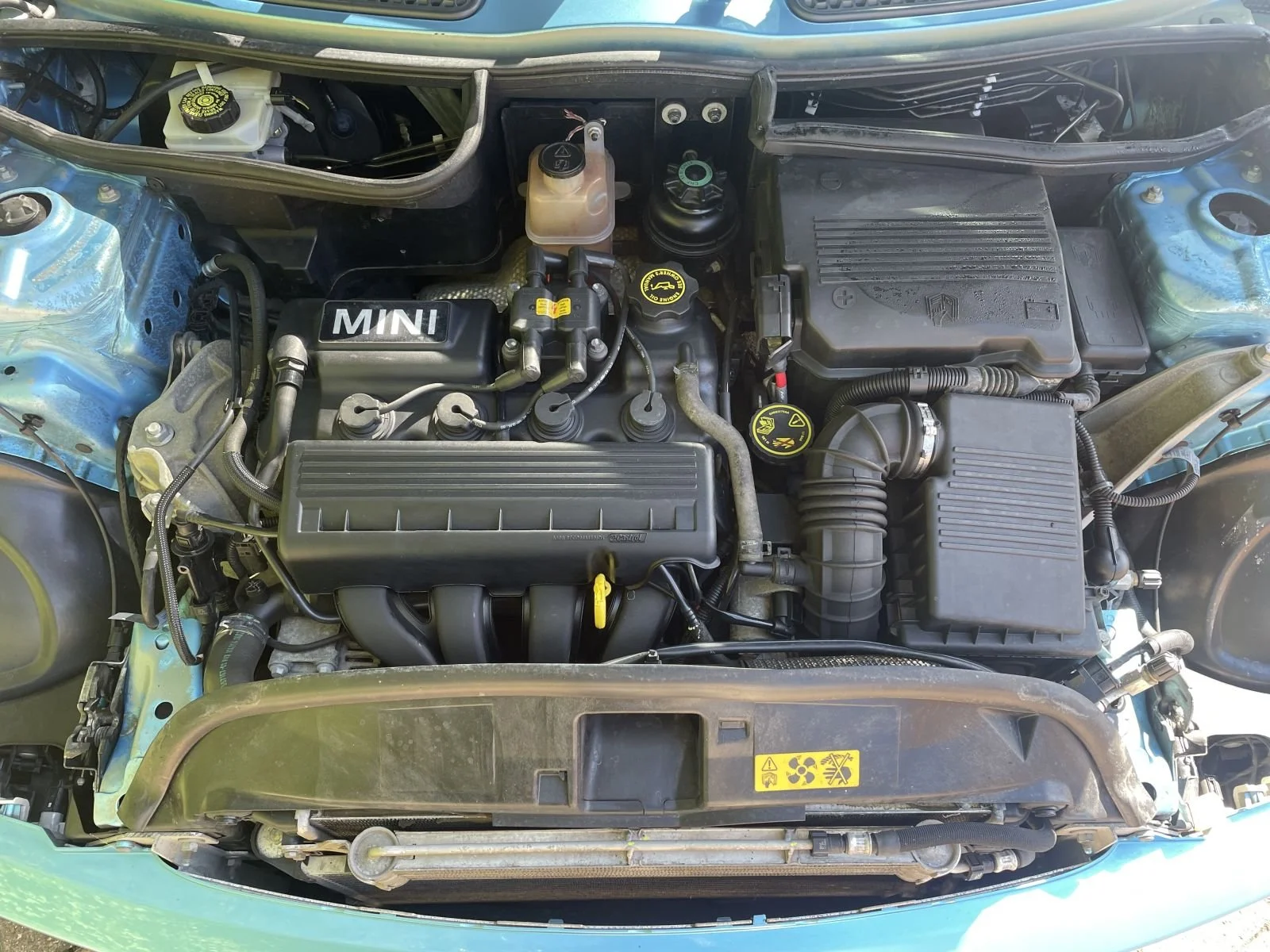 OY55 Electric Blue Cooper Automatic 13.jpg