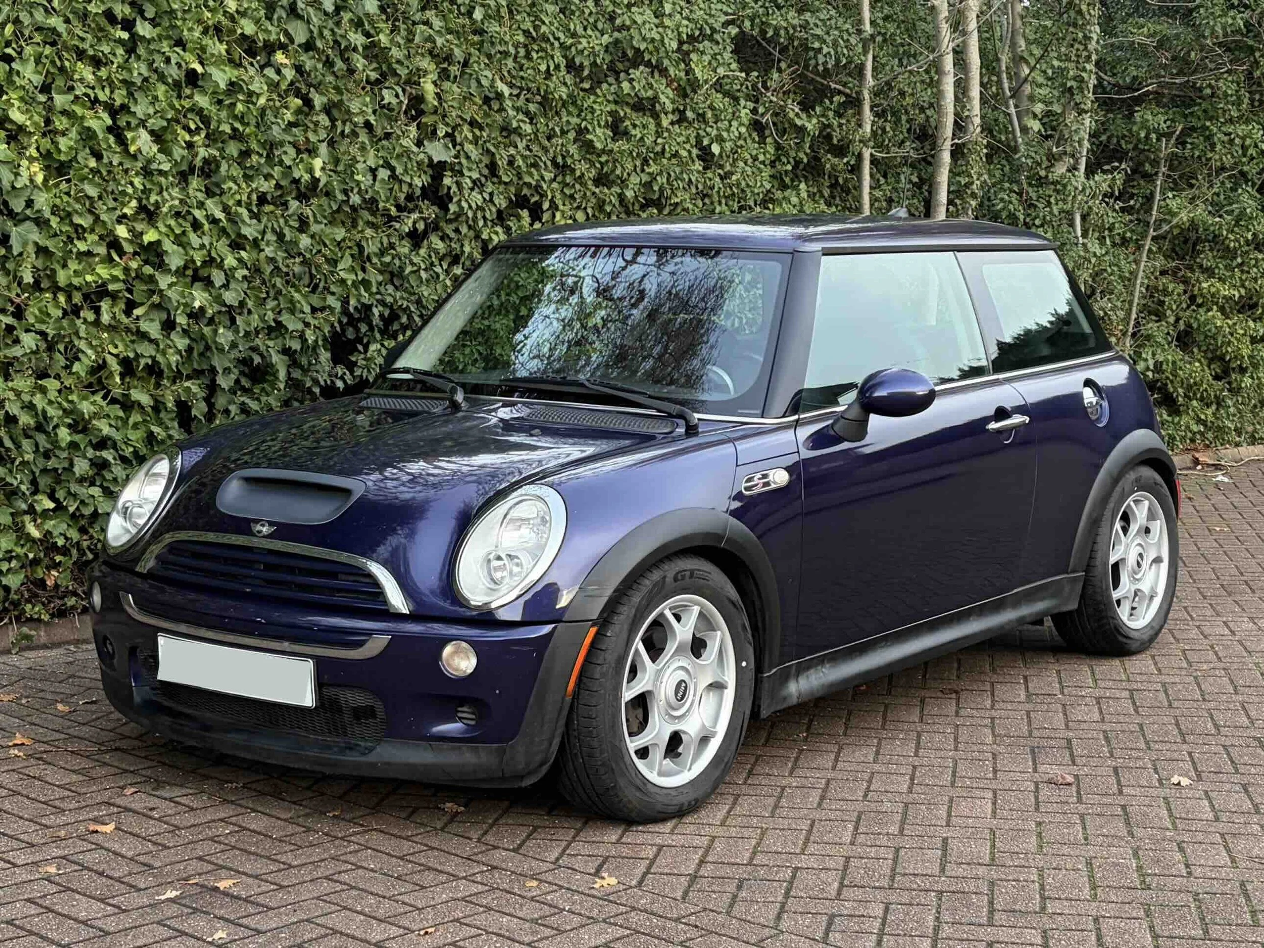 EY55 AKK Purple Cooper S 6.jpeg