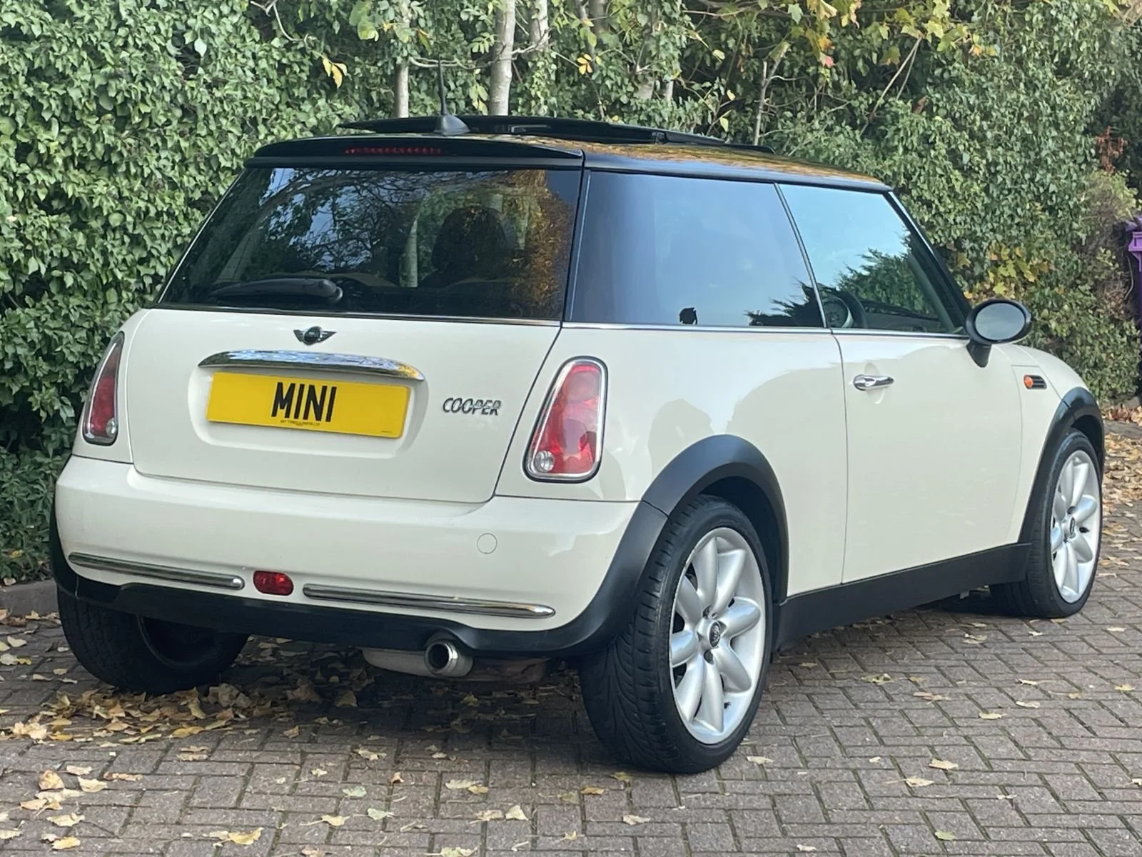 LL05 Pepper White Automatic Cooper 5.jpg