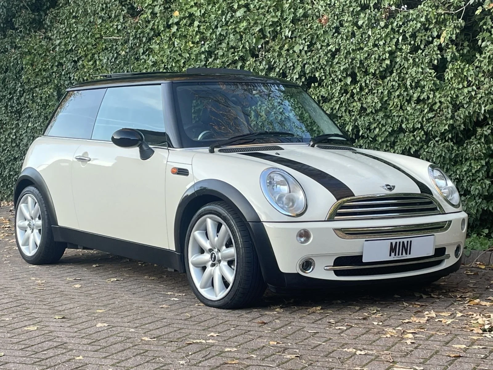 LL05 Pepper White Automatic Cooper 1.jpg
