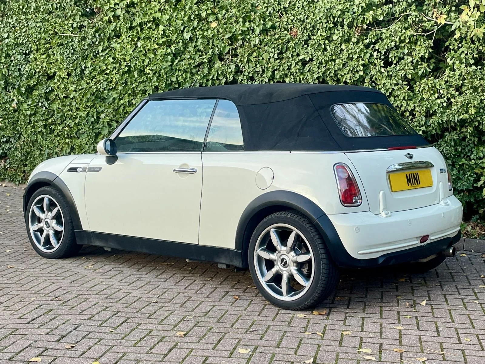 ST57 Pepper White Cooper Sidewalk Automatic 16.jpg