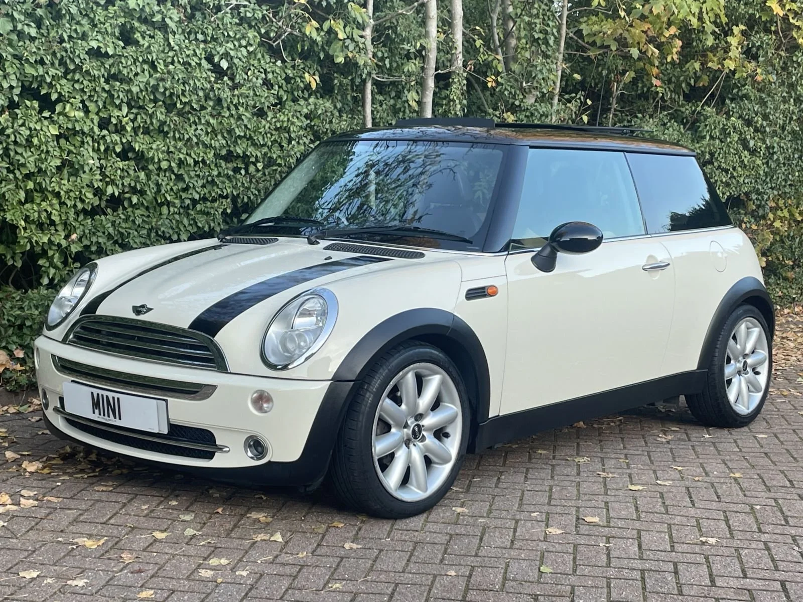 LL05 Pepper White Automatic Cooper 19.jpg
