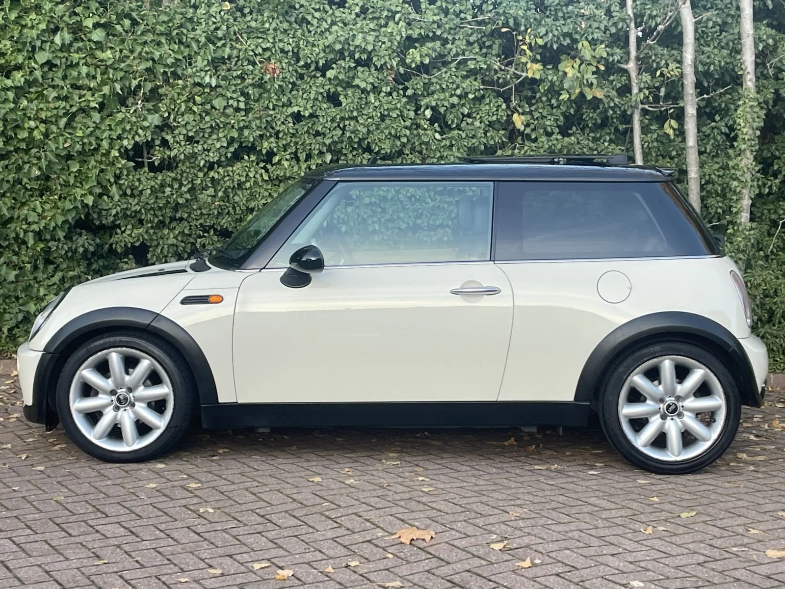 LL05 Pepper White Automatic Cooper 20.jpg