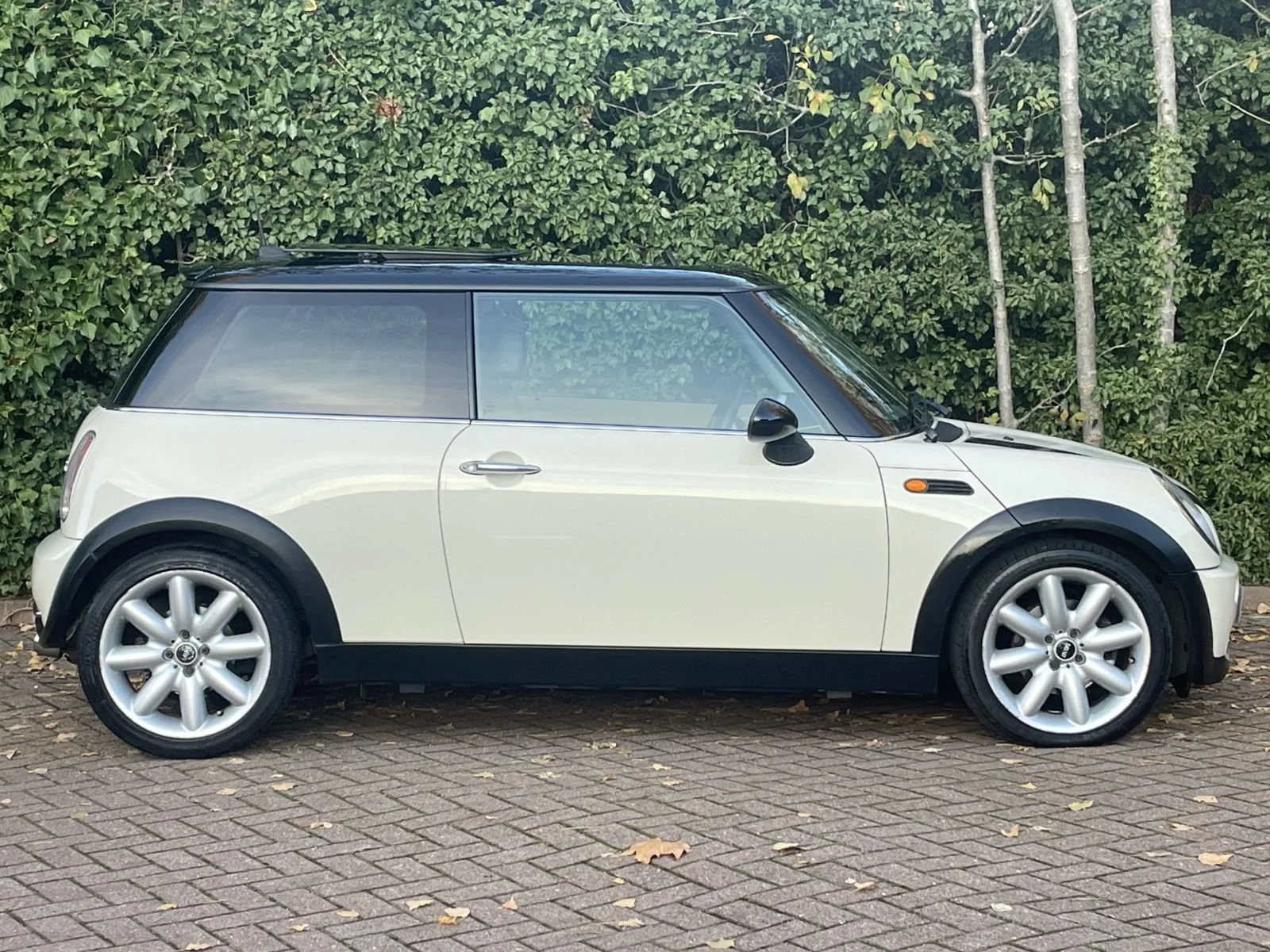LL05 Pepper White Automatic Cooper 3.jpg