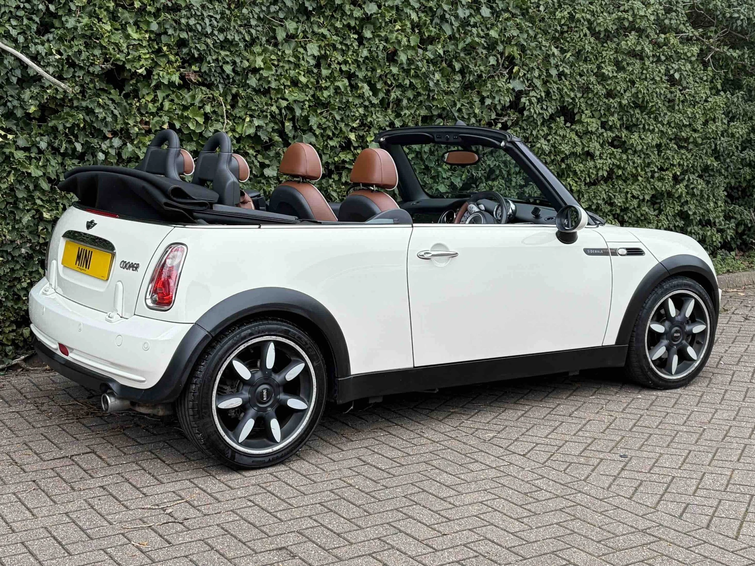 LD08 WHM White Sidewalk 10.jpeg