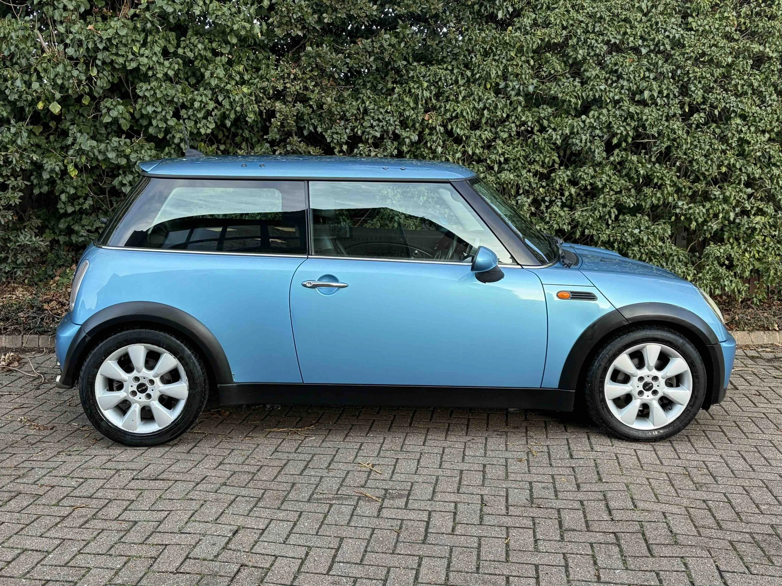 YD54 WFJ Electric Blue Cooper 6.jpeg