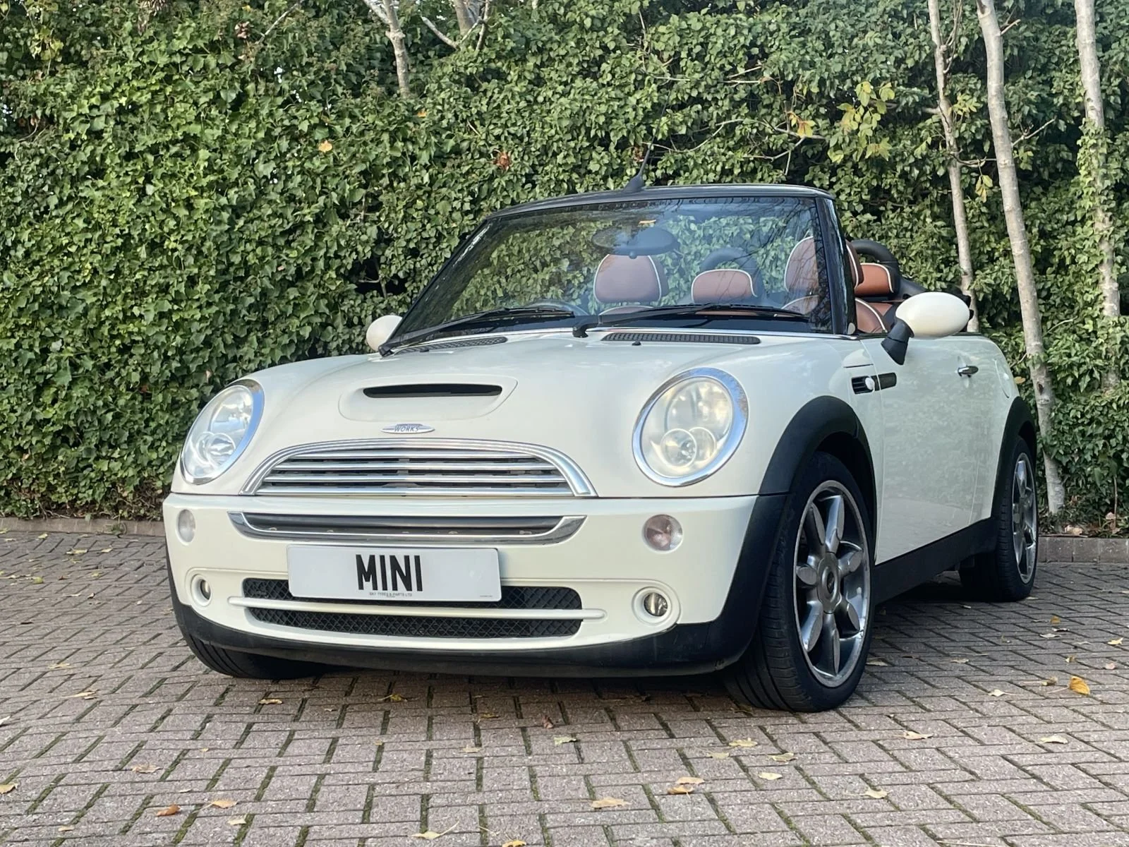 ST57 Pepper White Cooper Sidewalk Automatic 18.jpg