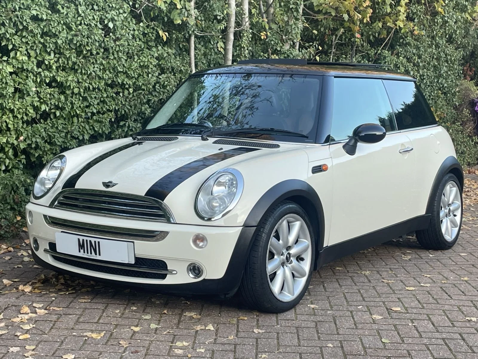 LL05 Pepper White Automatic Cooper 18.jpg