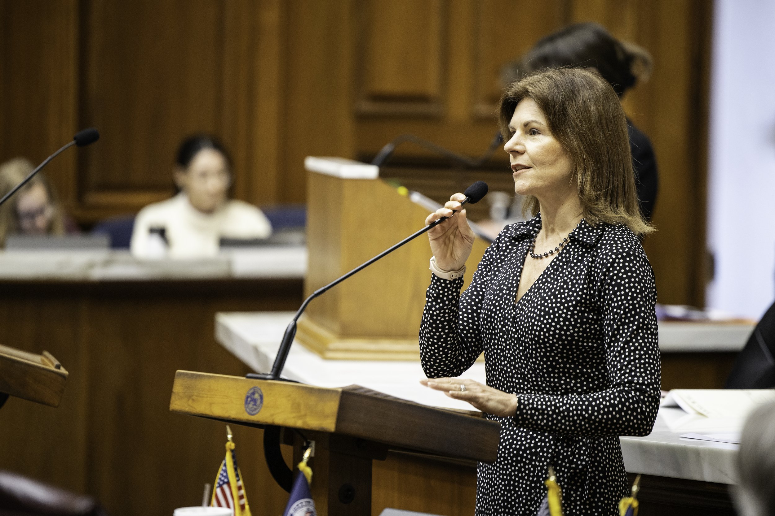 Hamilton amendment to reduce Hoosier utility bills struck down