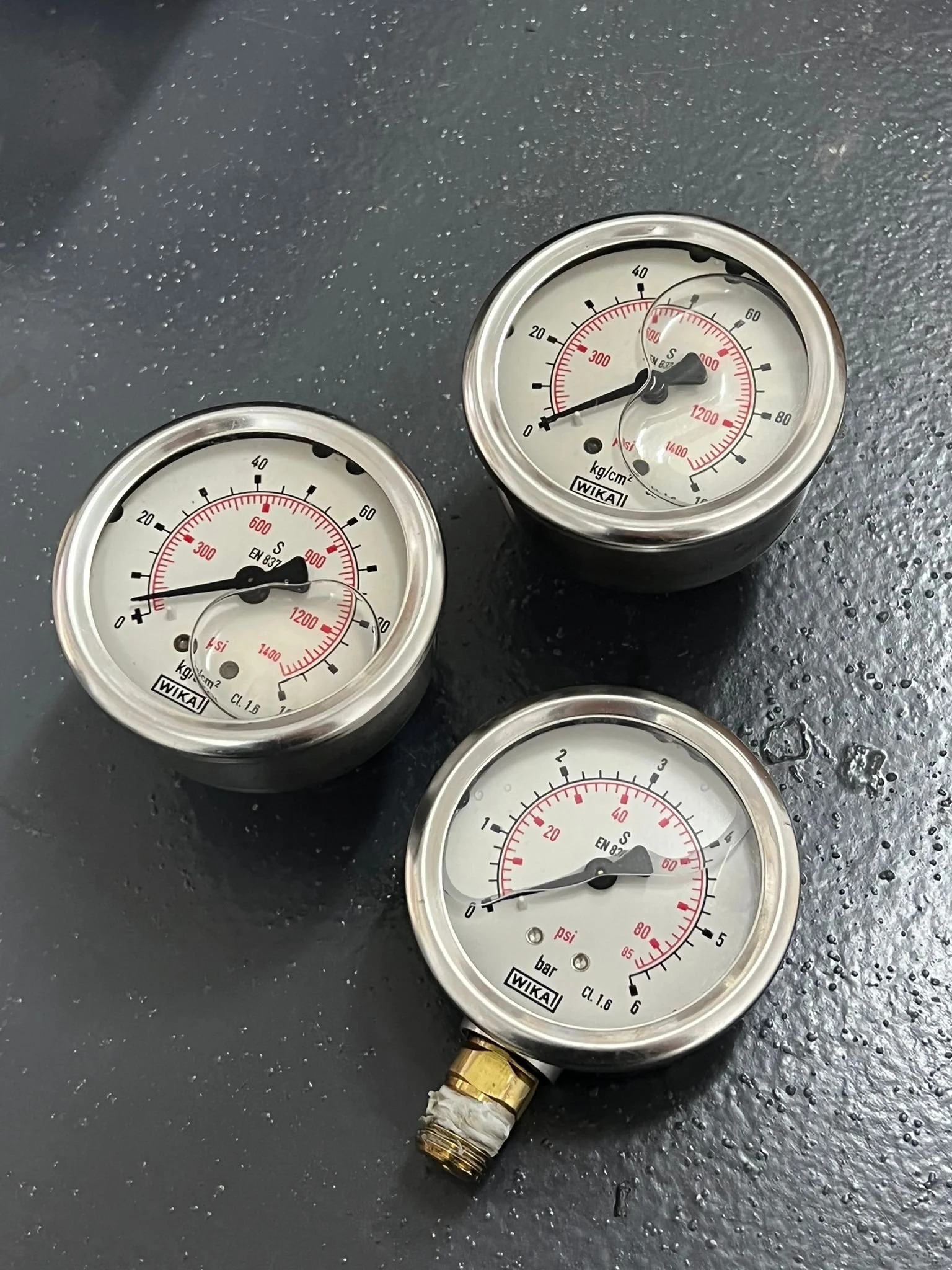 WhatsApp Image 2024-10-23 at 16.15.24.jpeg