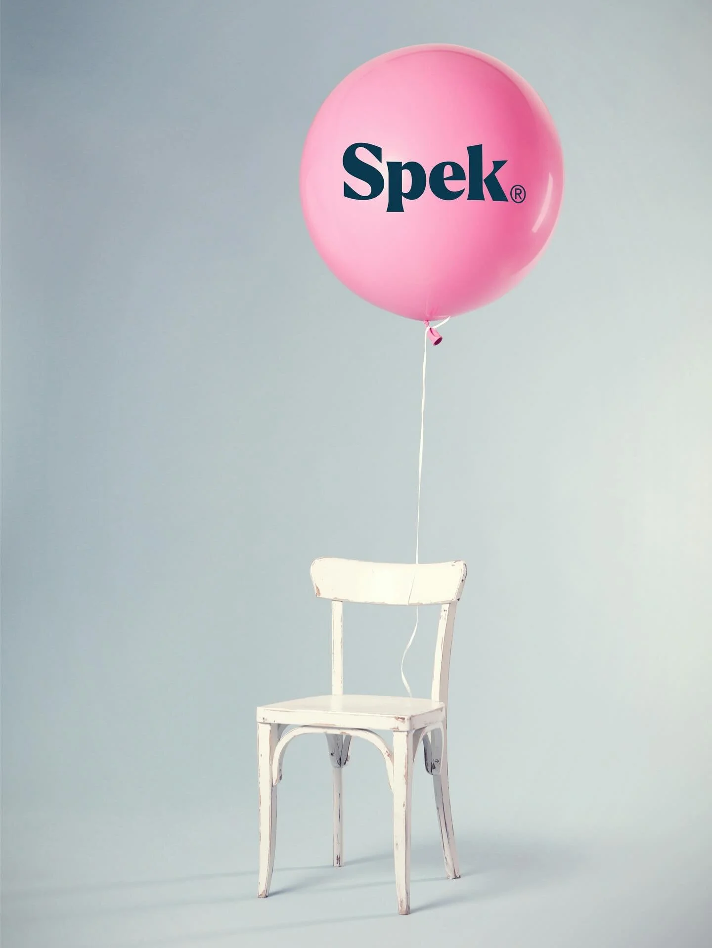 🎉 We&rsquo;re ONE! 🎂

Today marks a special milestone for SPEK as we celebrate our first anniversary! It&rsquo;s been an incredible journey filled with growth, challenges, and unforgettable moments. We want to extend our heartfelt thanks to our won