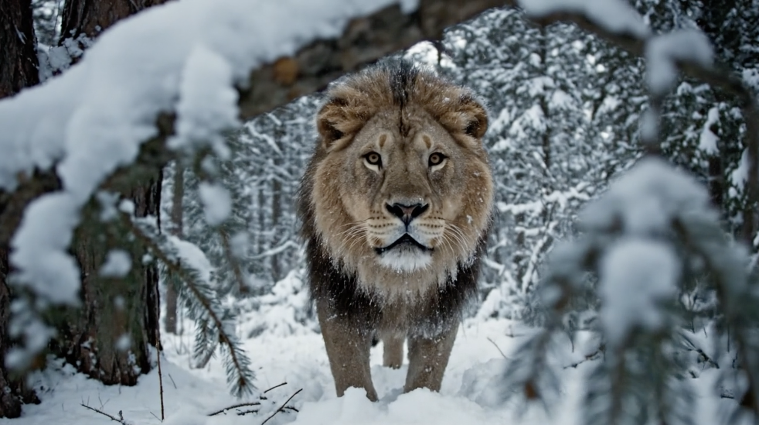 Nouvelle année. Nouveau siècle. Nouveaux vœux.  Publicis Groupe