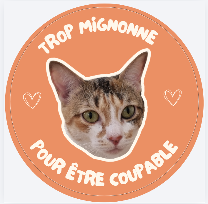 Capture d’écran 2026-02-23 162335.png