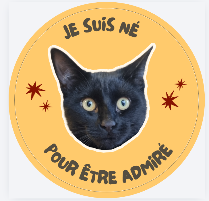 Sticker Bijou